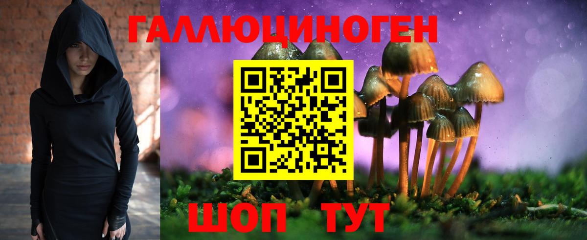 Волгодонск  Галлюциногенные грибы GOLDEN TEACHER  Вход с VPN 